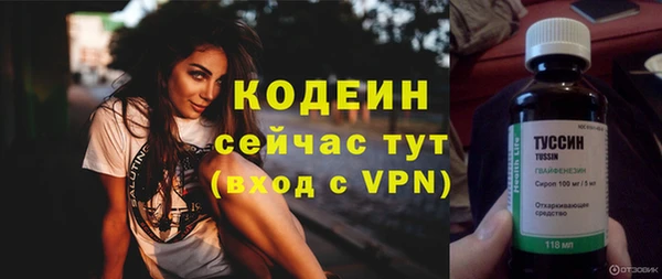 шишки Кодинск