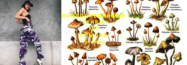 MDMA Premium VHQ Козловка