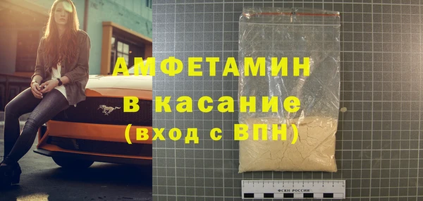 шишки Кодинск