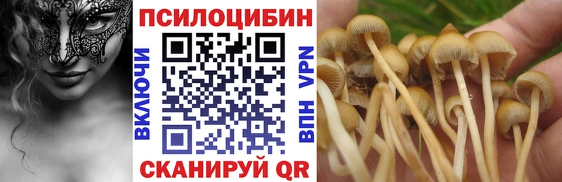 Псилоцибиновые грибы Magic Shrooms  Сысерть 